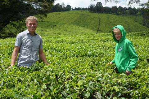 Dagtocht naar Kiambethu Tea Farm