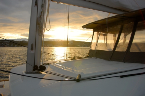 Tromsø: middernachtzoncruise in een luxe catamaran