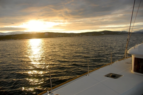 Tromsø: middernachtzoncruise in een luxe catamaran