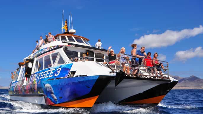 fuerteventura glass bottom boat cruise with lunch