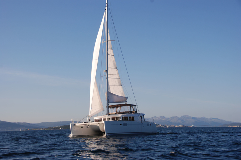 Tromsø : Croisière de luxe en catamaran dans les fjords et les îles