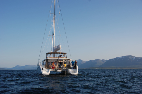 Tromsø : Croisière de luxe en catamaran dans les fjords et les îles