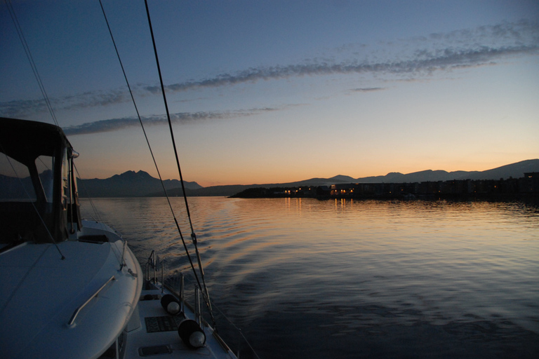 Tromsø: Crucero de lujo en catamarán por los fiordos y las islas