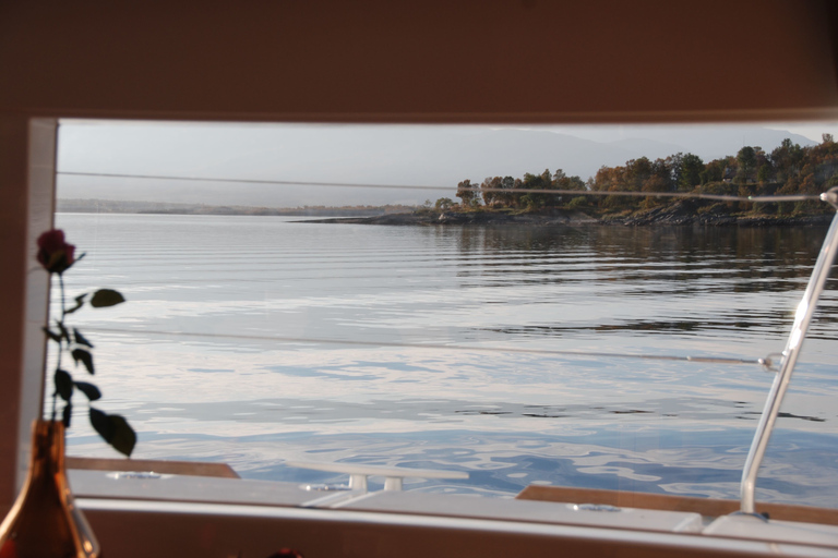 Tromsø : Croisière de luxe en catamaran dans les fjords et les îles