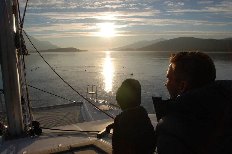 Tromsø : Croisière de luxe en catamaran dans les fjords et les îles