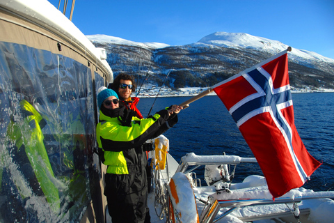 Tromsø: Cruzeiro de catamarã de luxo pelos fiordes e ilhasTromsø: cruzeiro de catamarã de luxo pelos fiordes e ilhas