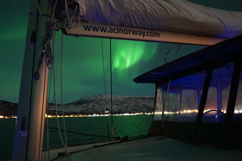 Tromsø : Croisière de luxe en catamaran pour admirer les aurores boréalesTromsø : Croisière de luxe en catamaran sur les aurores boréales