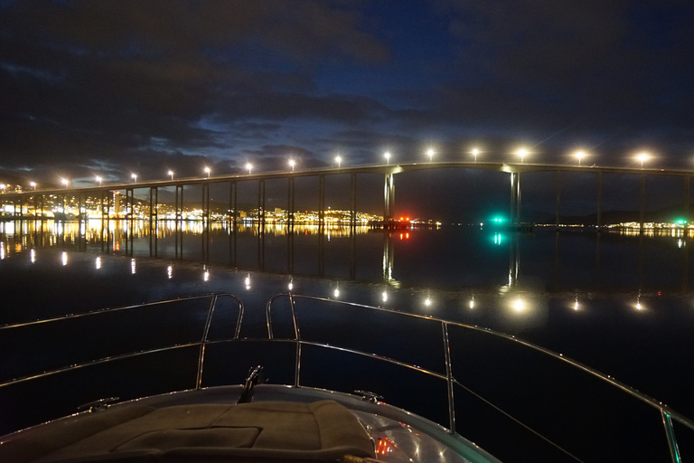 Tromsø : Croisière de luxe en catamaran pour admirer les aurores boréalesTromsø : Croisière de luxe en catamaran sur les aurores boréales