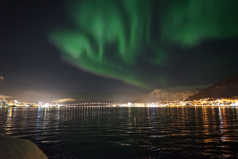 Tromsø: Crucero de lujo en catamarán por la Aurora Boreal