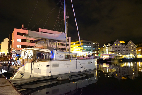 Tromsø: Noorderlicht Luxe Catamaran CruiseTromsø: luxe catamarancruise op het noorderlicht