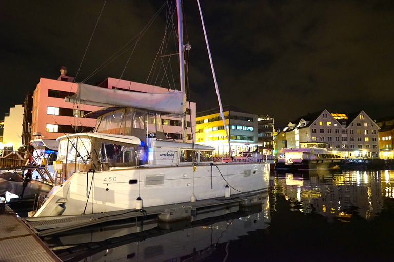 Tromsø: Luksusowy rejs katamaranem po zorzy polarnejTromsø: Rejs luksusowym katamaranem przy zorzy polarnej