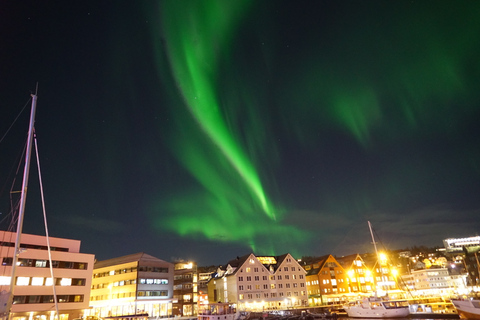 Tromsø: Luksusowy rejs katamaranem po zorzy polarnejTromsø: Rejs luksusowym katamaranem przy zorzy polarnej