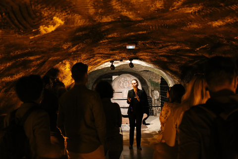 Authentic Champagne Tour: 3 vineyards, 10 Tastings & Lunch Authentic Champagne Tour : Family Vineyards & 10 Tastings