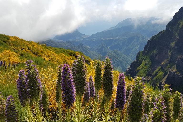 Madeira: Private Guided Pico Areeiro to Pico Ruivo Hike PR1 Tour with North/South East Madeira Pickup