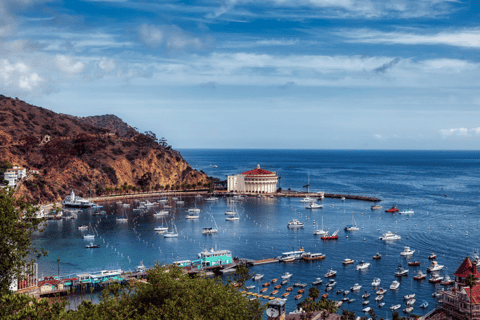 Santa Catalina Island: Nautilus Semi-Submarine Cruise