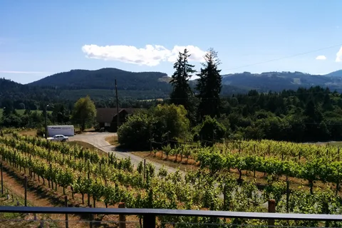 Victoria, BC: Food & Wine Tour to the Cowichan Valley