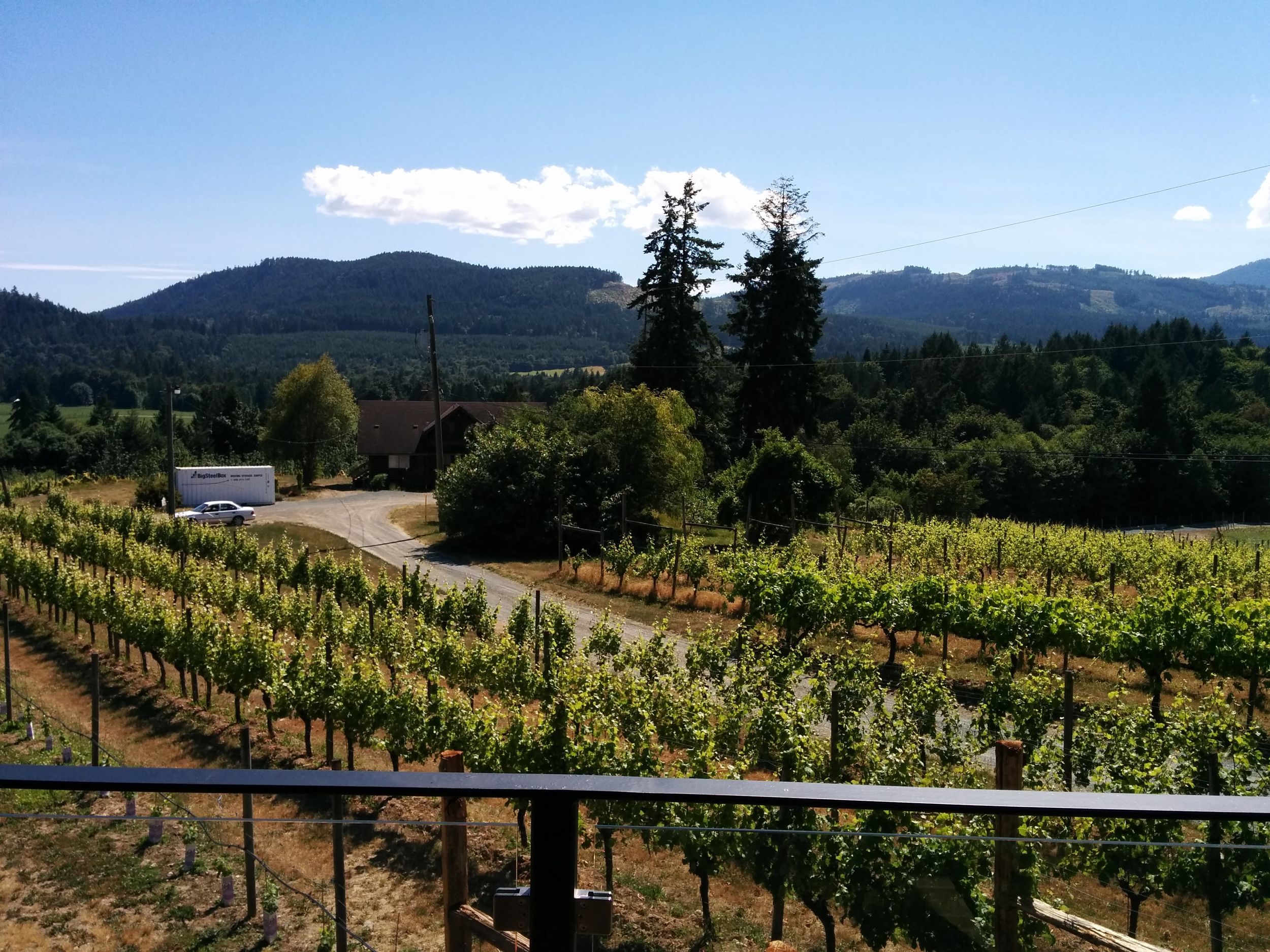 Victoria, BC: Food & Wine Tour ins Cowichan Valley
