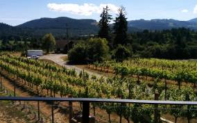 Victoria, BC: Food & Wine Tour to the Cowichan Valley
