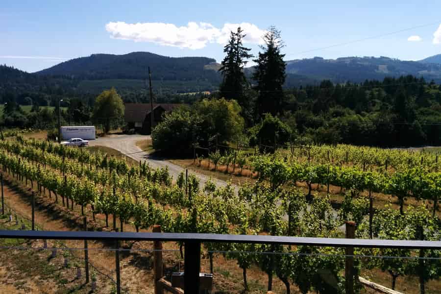 Victoria, BC: Food & Wine Tour ins Cowichan Valley. Foto: GetYourGuide Victoria, BC: Food & Wine Tour ins Cowichan Valley. Foto: GetYourGuide