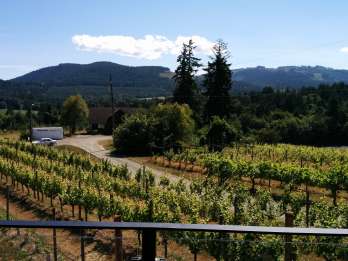 Victoria, BC: Food & Wine Tour ins Cowichan Valley