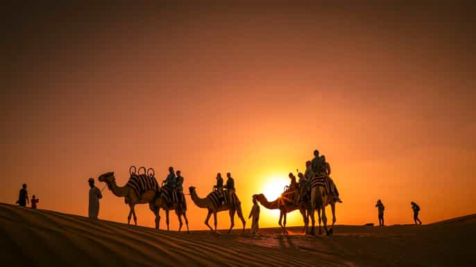 abu dhabi sunset camel trek barbecue dinner