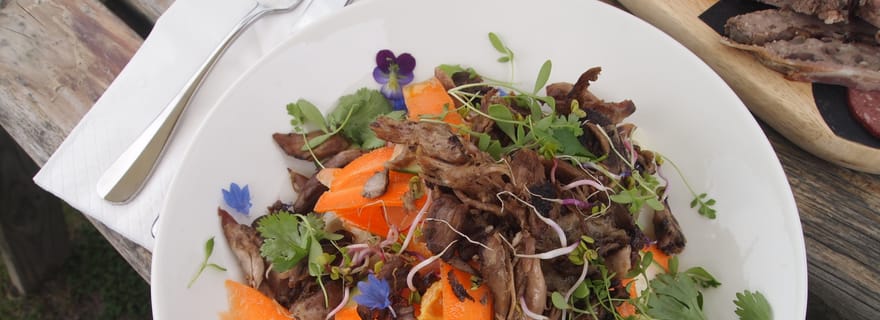 Au départ de Picton : Visite privée de Marlborough (vins et gastronomie)