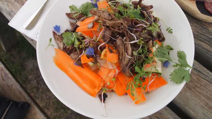from picton private wine and gourmet tour of marlborough