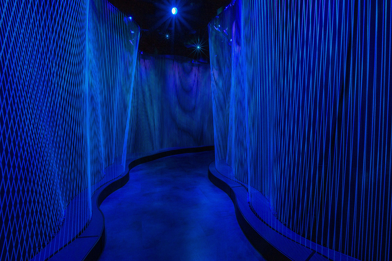 Washington DC: Museum of the Bible General Admission