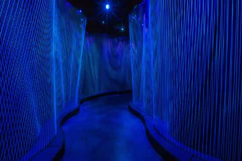 Washington DC: Museum of the Bible Exclusive Early Admission