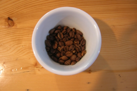 Bean-to-Spa: Kaffeeplantagen- und ThermalentspannungstourVon San Salvador aus: Thermalbad und Kaffeepflanzentour