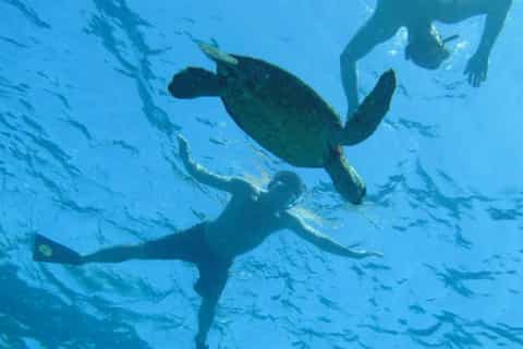Big Island: Captain Cook Sightseeing & Snorkel Expedition