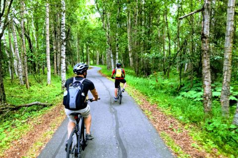Anchorage: Coastal Trail 3-Hour City Bike Tour