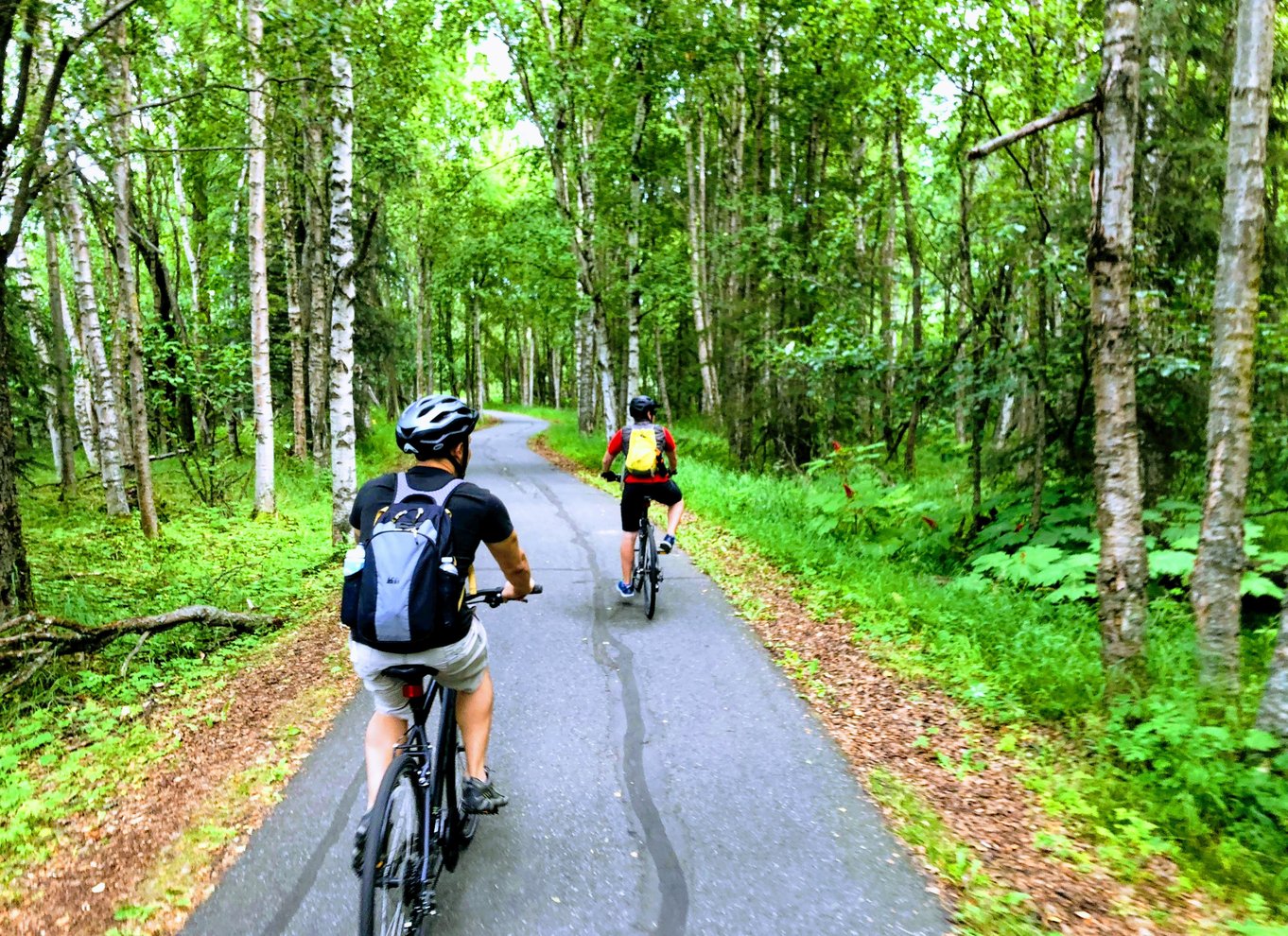 Anchorage: Coastal Trail 3-timers byrundvisning på cykel