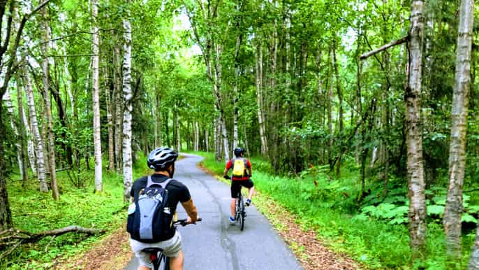 anchorage coastal trail 3hour city bike tour
