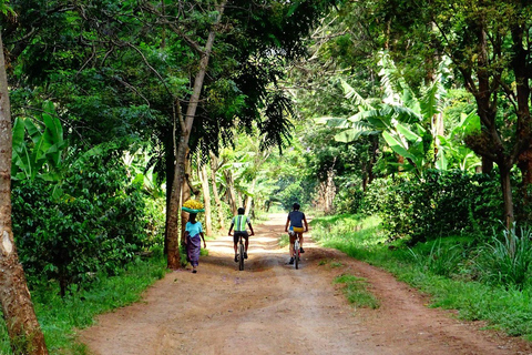 Excursión en Bicicleta por el Monte Kilimanjaro con la Cultura Chagga