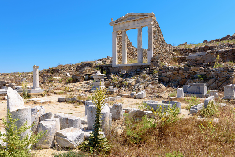 Mykonos : Une excursion parfaite d&#039;une demi-journée depuis votre bateau de croisière