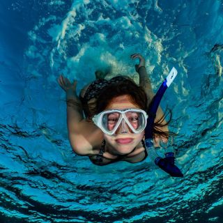 Eilat: snorkeling nella barriera corallina con istruttore