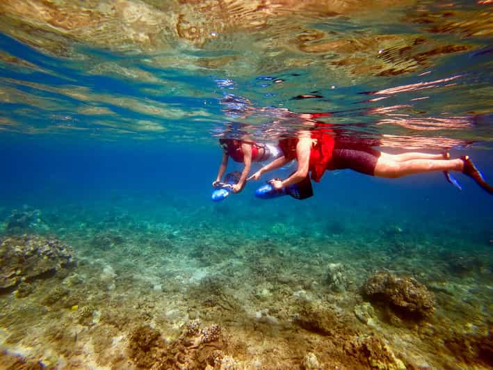 Maui Beginners Sea Scooter Snorkeling Experience GetYourGuide