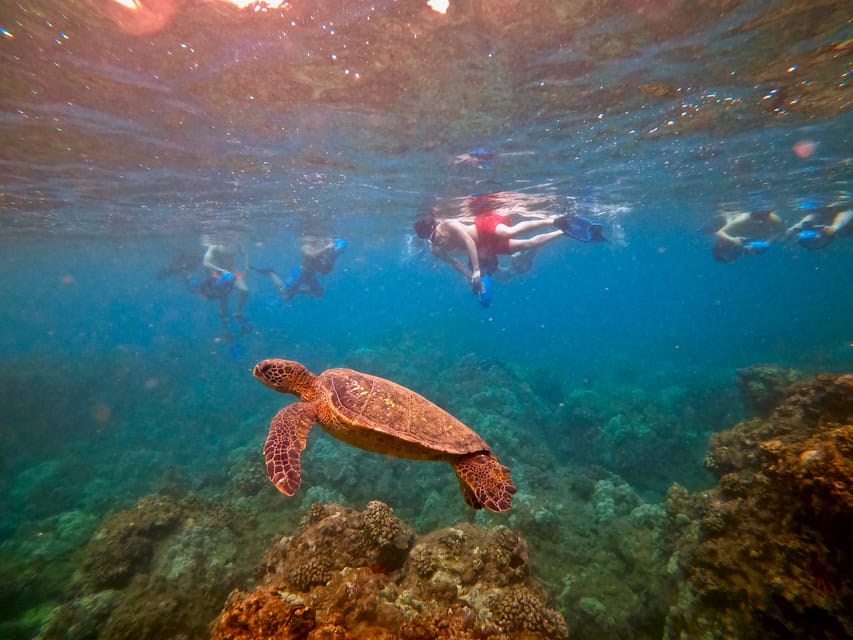 Maui Beginners Sea Scooter Snorkeling Experience