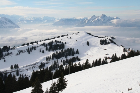 Switzerland: Private Sledging Day Tour 6-hour half-day tour