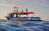 Cozumel, VIP Glass Bottom Boat & Snorkeling 3 Reefs Tour - Housity