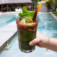 Xkopek Day Pass，Bee Tour和Pool - Housity