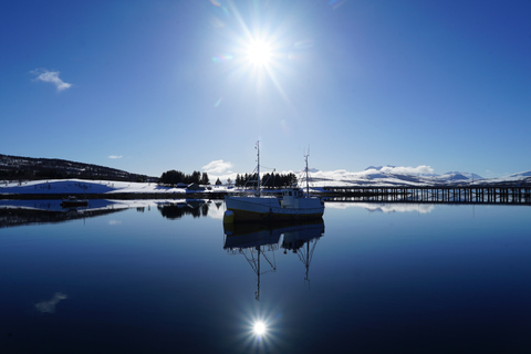 Tromsø: croisière dans le fjord en yacht de luxe