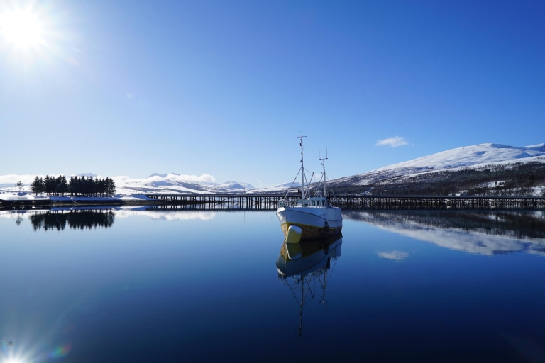 Tromsø: croisière dans le fjord en yacht de luxe