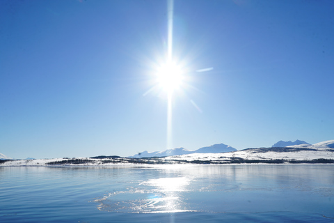 Tromsø: croisière dans le fjord en yacht de luxe