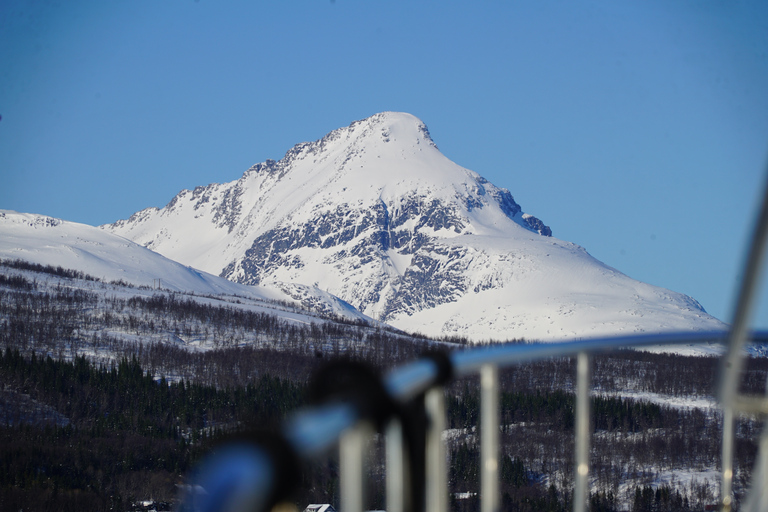 Tromsø: Cruzeiro pelo fiorde em um iate de luxoTromsø: cruzeiro no fiorde em iate de luxo