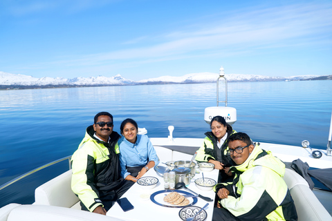 Tromsø: Cruzeiro pelo fiorde em um iate de luxoTromsø: cruzeiro no fiorde em iate de luxo