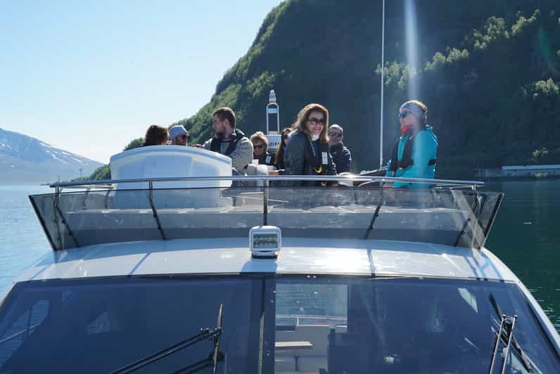 Tromsø Crociera nei fiordi con uno yacht di lusso GetYourGuide