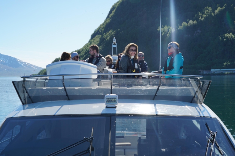 Tromsø: Fjord-Kreuzfahrt auf der Luxusjacht