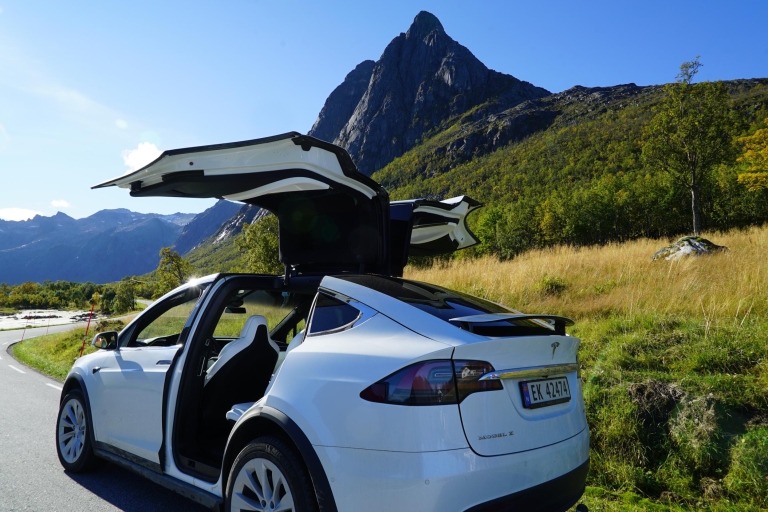 Tromsø: Fjord-sightseeing in een Tesla X luxe elektrische auto